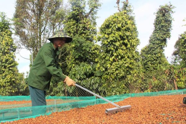 snapedit_1762228106003